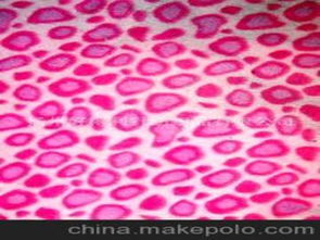 毛巾針紡織品供應商、價格與批發(fā)市場全攻略